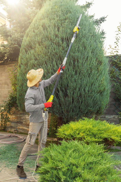 Best Lawn Pest Prevention  in Chelan, WA